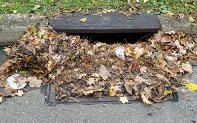 Storm Drains Not Made for Leaves
